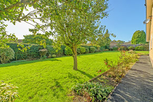 Garden- click for photo gallery